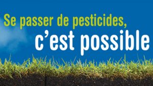 Lire la suite à propos de l’article Se passer de pesticides, c’est tellement bon !!