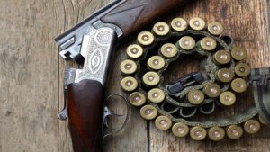 Lire la suite à propos de l’article La chasse en campagne : la crédibilité victime de balles perdues