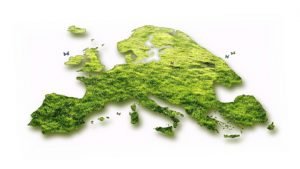 Lire la suite à propos de l’article Développement Durable : l’Europe doit se ressaisir !