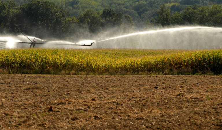 guerre-de-l-eau-en-france-la-justice-enterre-les-futures-bassines