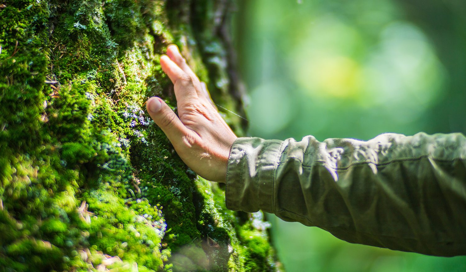 You are currently viewing Santé et nature : vers une nouvelle pratique médicale