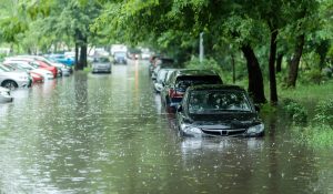 Lire la suite à propos de l’article Quel climat dans le futur en Wallonie ?