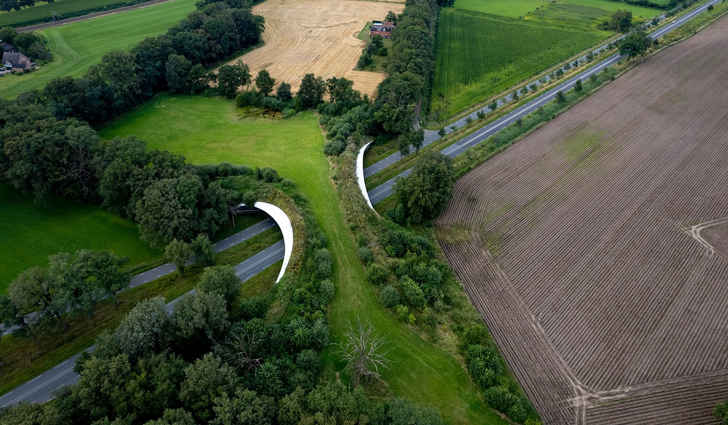 You are currently viewing Sécurité routière et biodiversité : qui se trouve au mauvais endroit ?